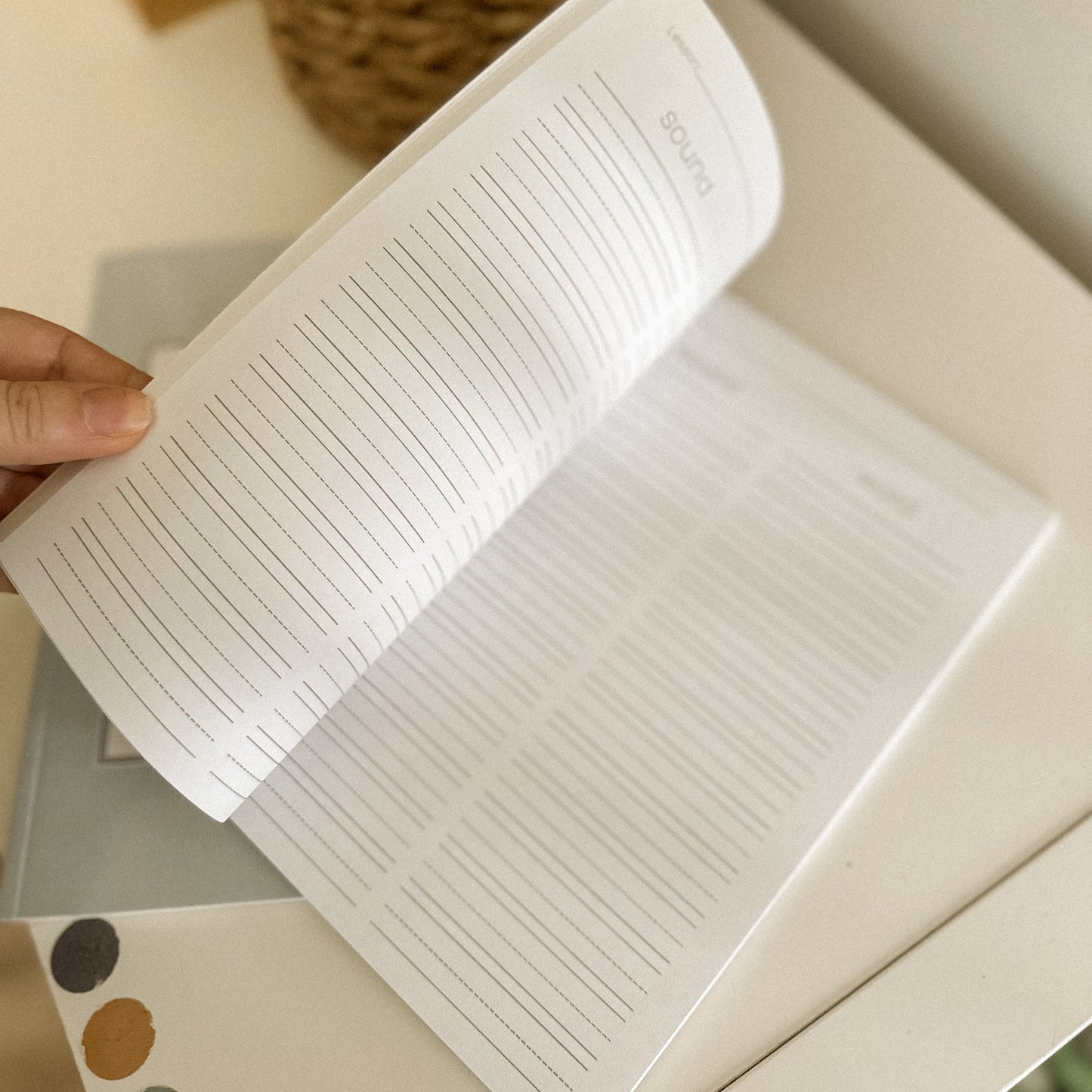 New McGuffey’s Eclectic Primer plus Word Book