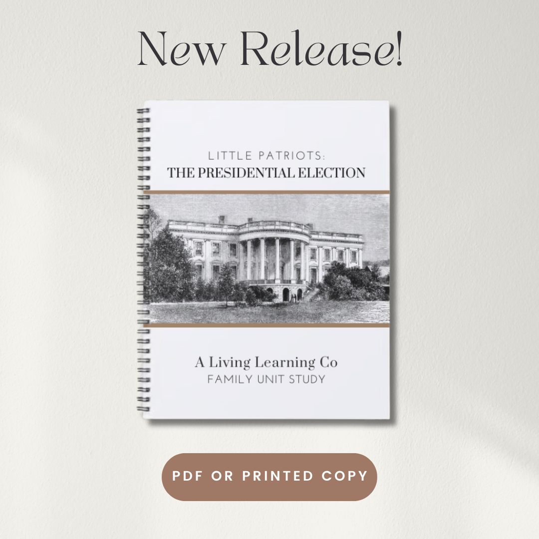 Little Patriots: The Presidential Election | PDF or PRINTED