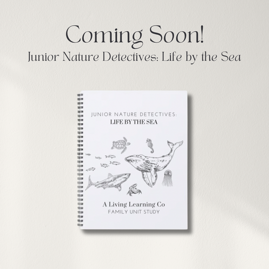 Junior Nature Detectives: Life by the Sea