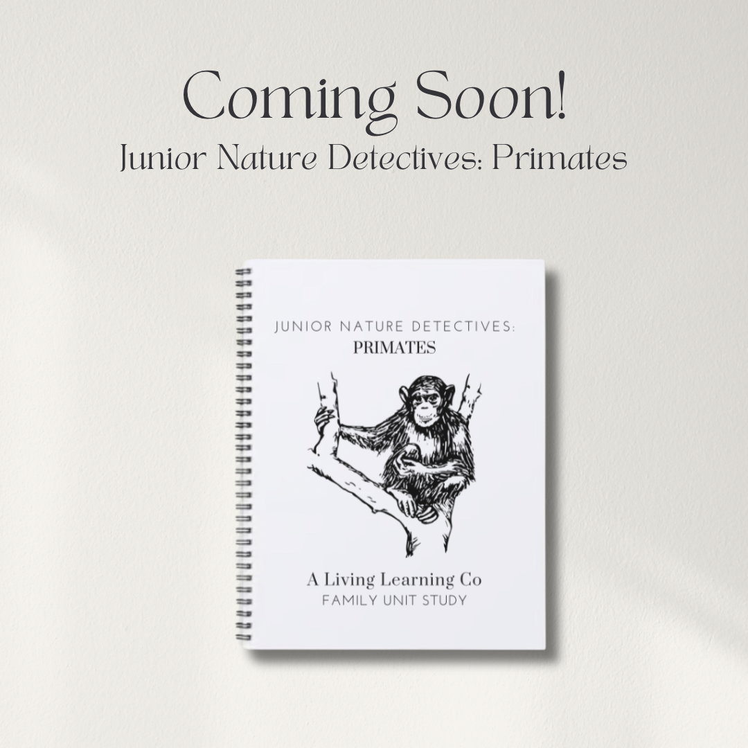 Junior Nature Detectives: Primates